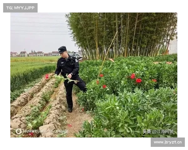 一株,也违法! 一株,也违法!